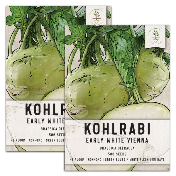 White Vienna Kohlrabi Seeds For Planting (Brassica oleracea)