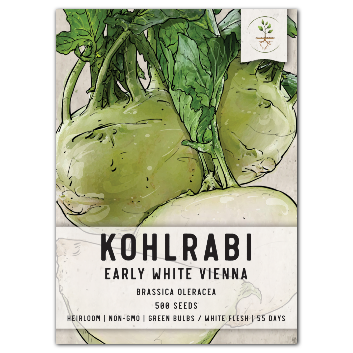 White Vienna Kohlrabi Seeds For Planting (Brassica oleracea)