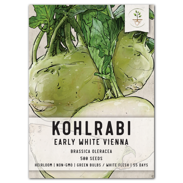 White Vienna Kohlrabi Seeds For Planting (Brassica oleracea)