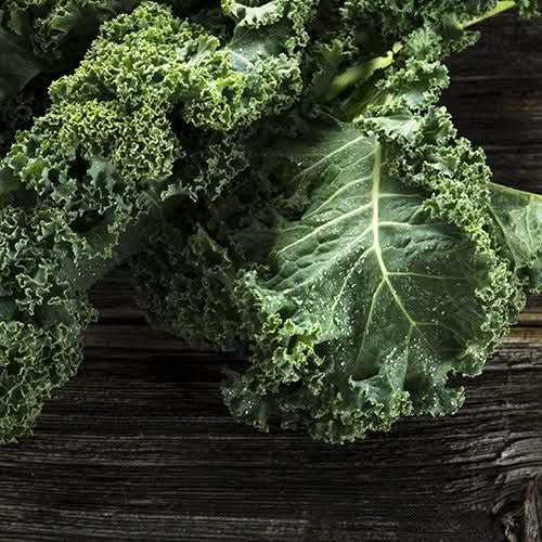 Kale Seeds For Planting, Vates Blue Scotch Curled (Brassica oleracea)