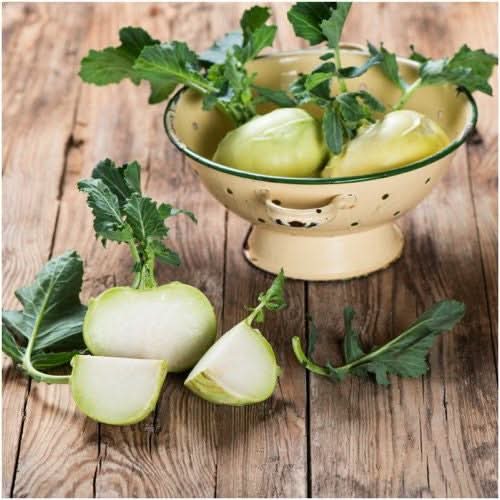 White Vienna Kohlrabi Seeds For Planting (Brassica oleracea)