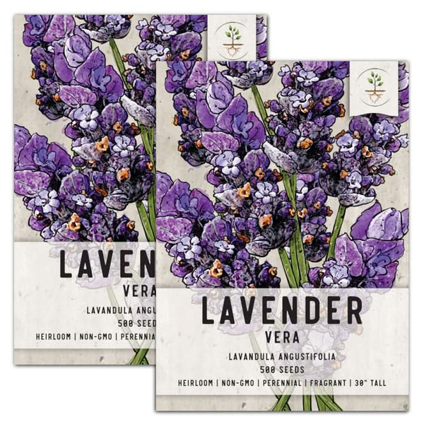 Vera Lavender Seeds For Planting 