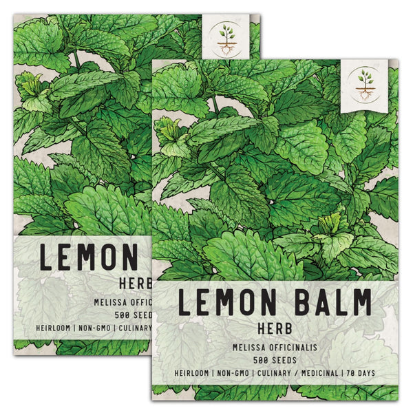 Lemon Balm Herb Seeds For Planting (Melissa officinalis)