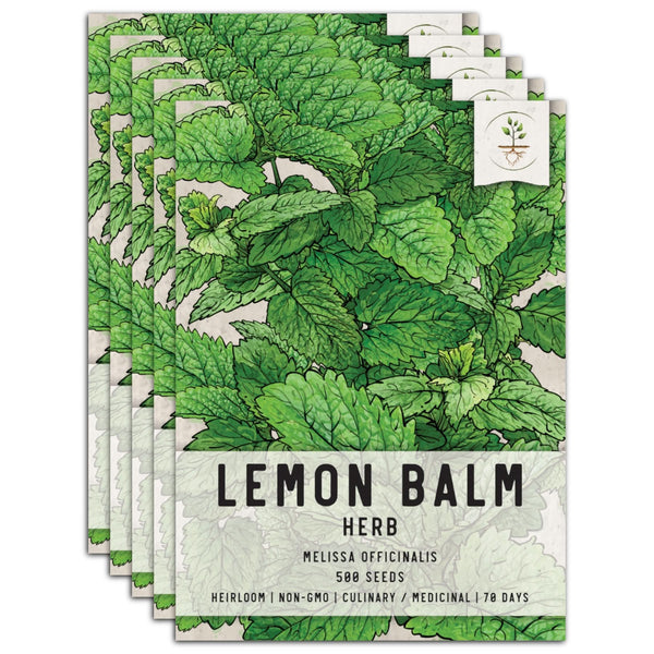 Lemon Balm Herb Seeds For Planting (Melissa officinalis)