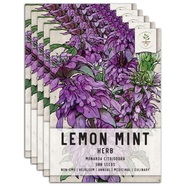 Lemon Mint Seeds For Planting (Monarda citriodora)