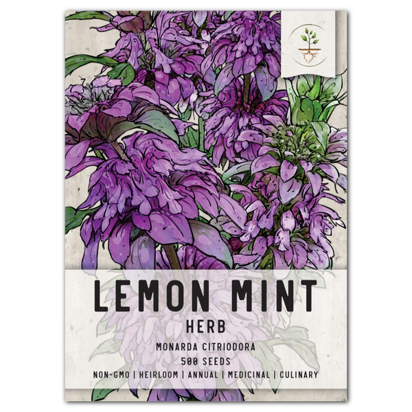 Lemon Mint Seeds For Planting (Monarda citriodora)