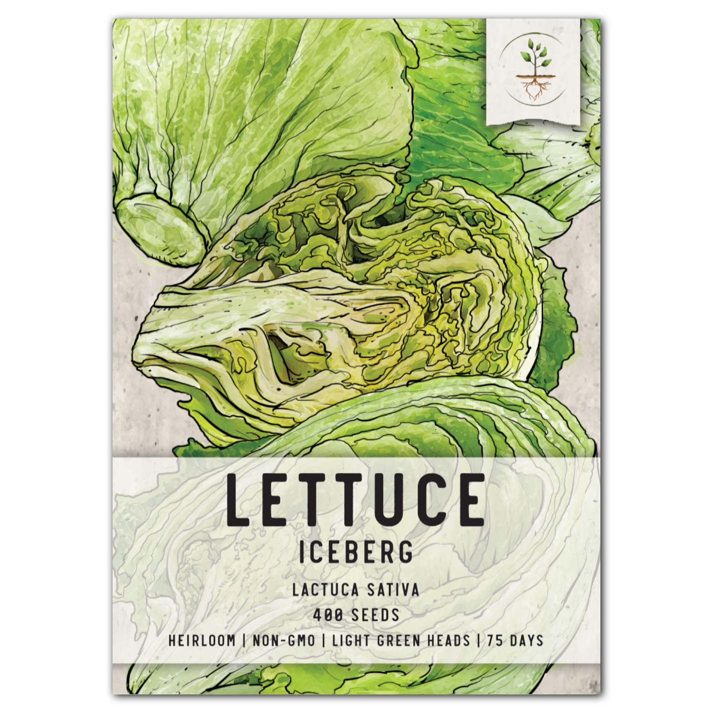 iceberg lettuce seeds for planting