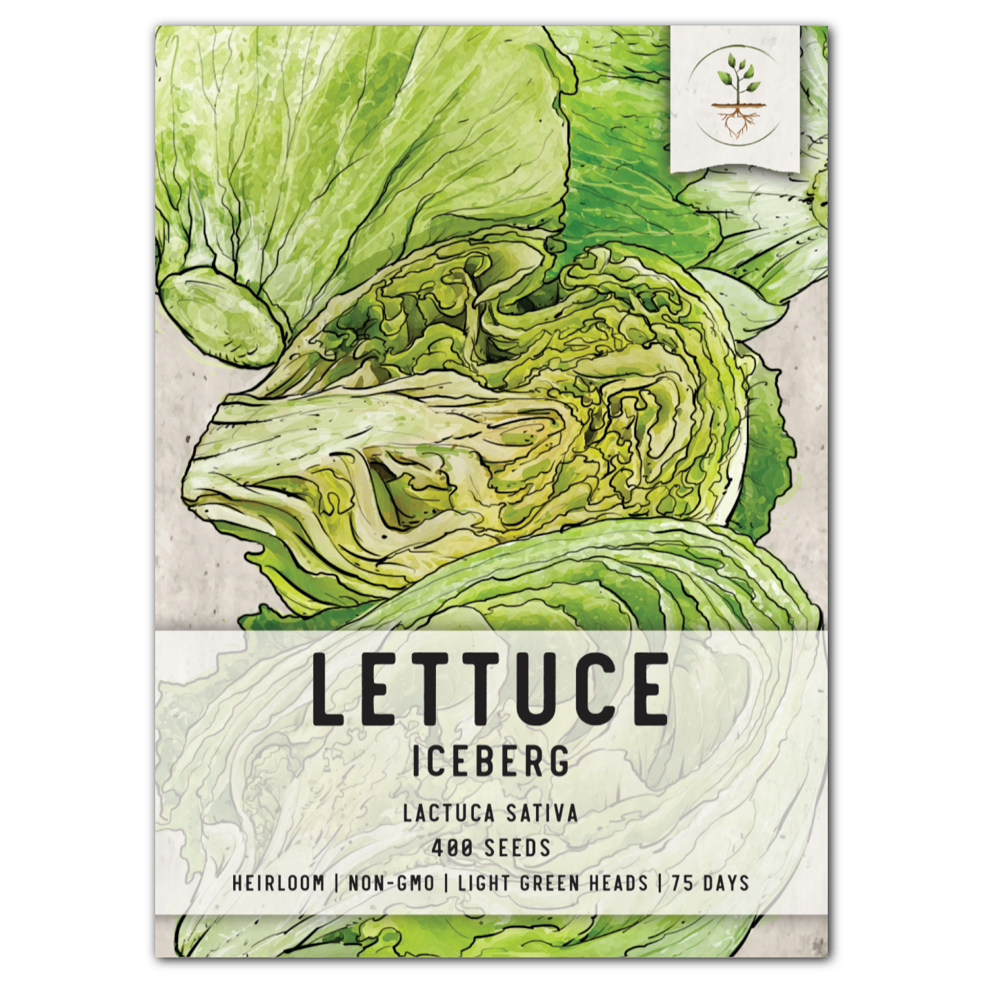 iceberg lettuce seeds for planting