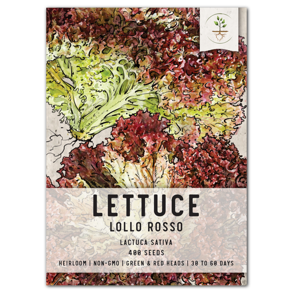 Lollo Rosso Lettuce Seeds For Planting (Lactuca sativa)