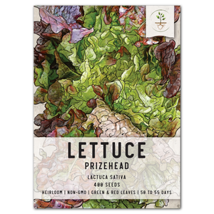 prizehead lettuce seeds for planting