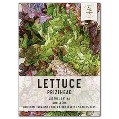 Prizehead Lettuce Seeds For Planting (Lactuca sativa)