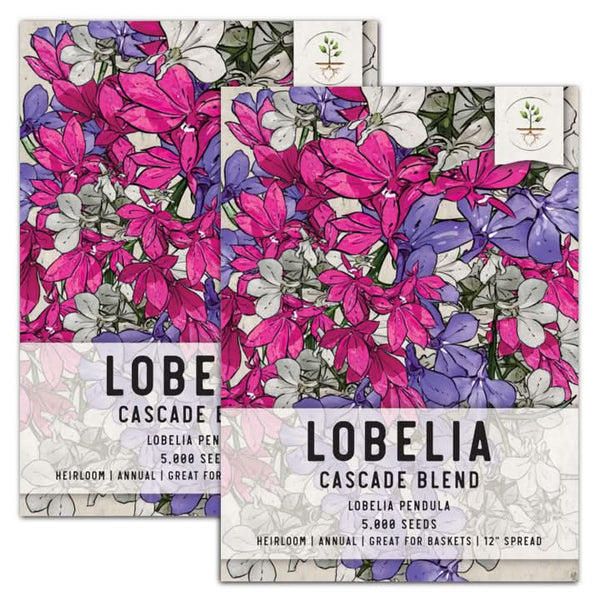 cascade blend lobelia seeds for planting