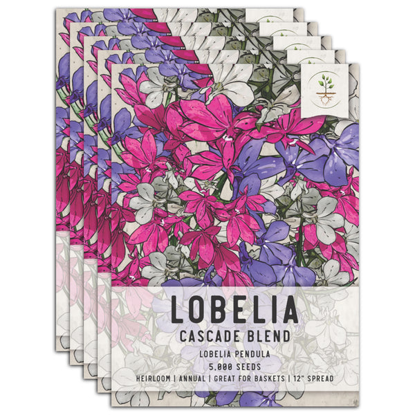 Cascade Blend Lobelia Seeds For Planting (Lobelia pendula)