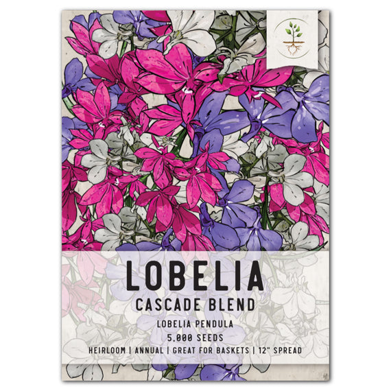 Cascade Blend Lobelia Seeds For Planting (Lobelia pendula)