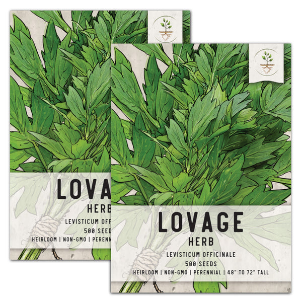 lovage herb seeds for planting