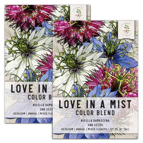 Mixed Love In A Mist Seeds For Planting (Nigella damascena)