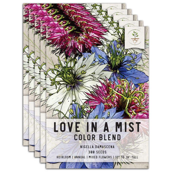 Mixed Love In A Mist Seeds For Planting (Nigella damascena)