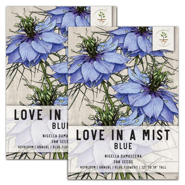 Blue Love In A Mist Seeds For Planting (Nigella damascena)