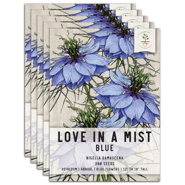 Blue Love In A Mist Seeds For Planting (Nigella damascena)