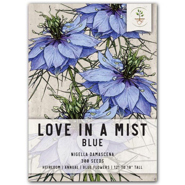 Blue Love In A Mist Seeds For Planting (Nigella damascena)