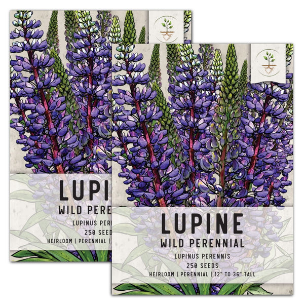 wild perennial lupine seeds for planting