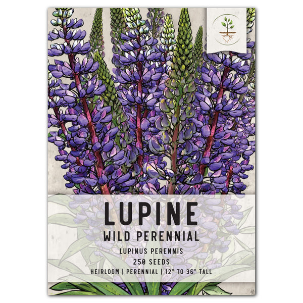 wild perennial lupine seeds for planting