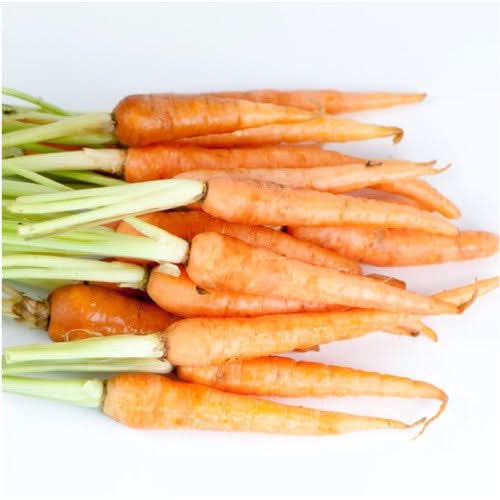 Little Finger Carrot Seeds For Planting (Daucus carota)