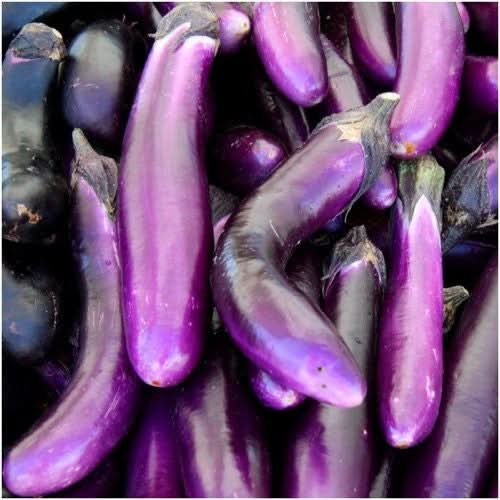 Long Purple Eggplant Seeds For Planting (Solanum melongena)