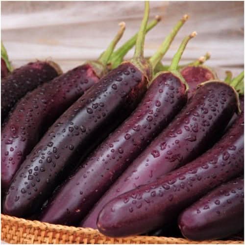 Long Purple Eggplant Seeds For Planting (Solanum melongena)