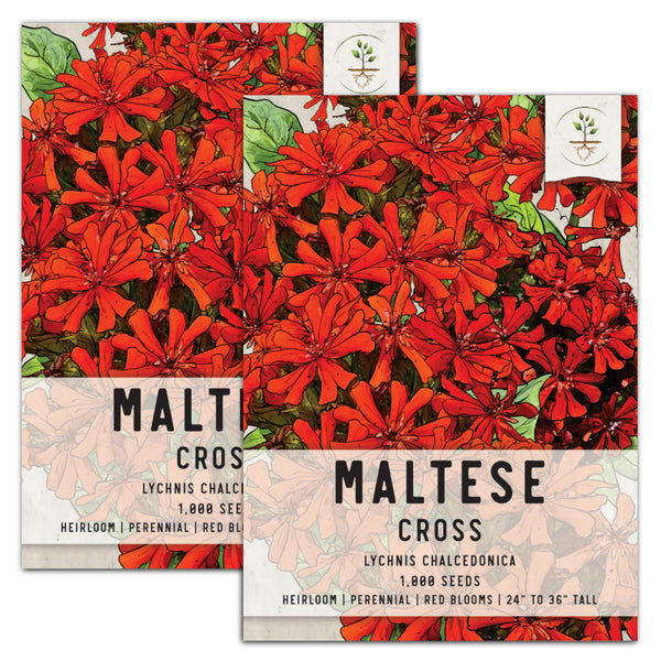Maltese Cross Seeds For Planting (Lychnis chalcedonica)