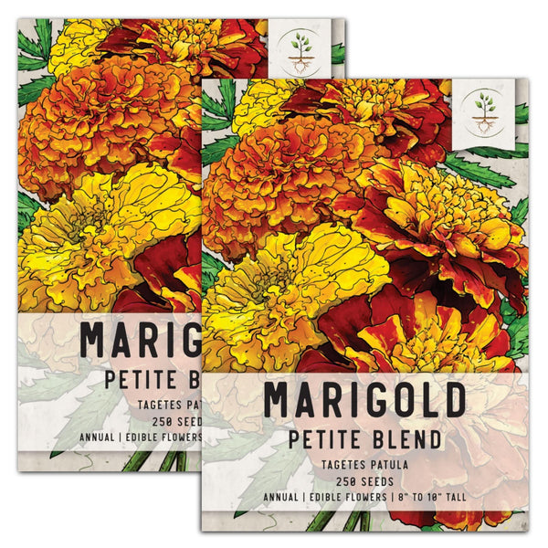 Petite Marigold Seed Blend (Tagetes patula)