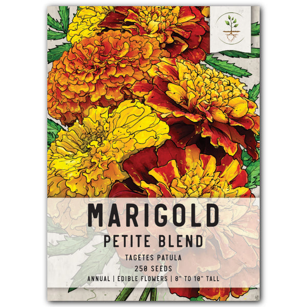 Petite Marigold Seed Blend (Tagetes patula)