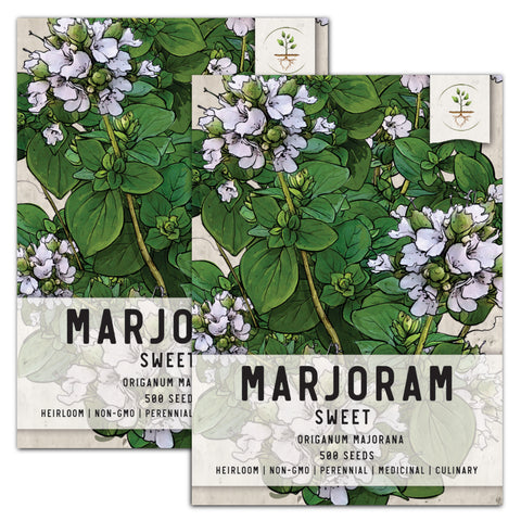 Sweet Marjoram Herb Seeds For Planting (Origanum majorana)