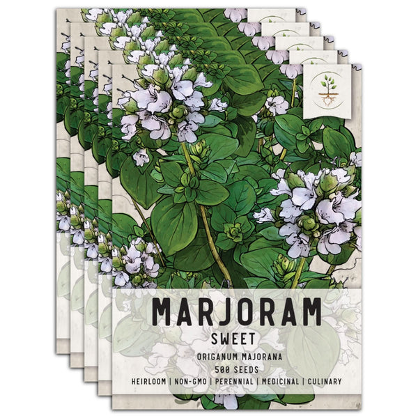 Sweet Marjoram Herb Seeds For Planting (Origanum majorana)