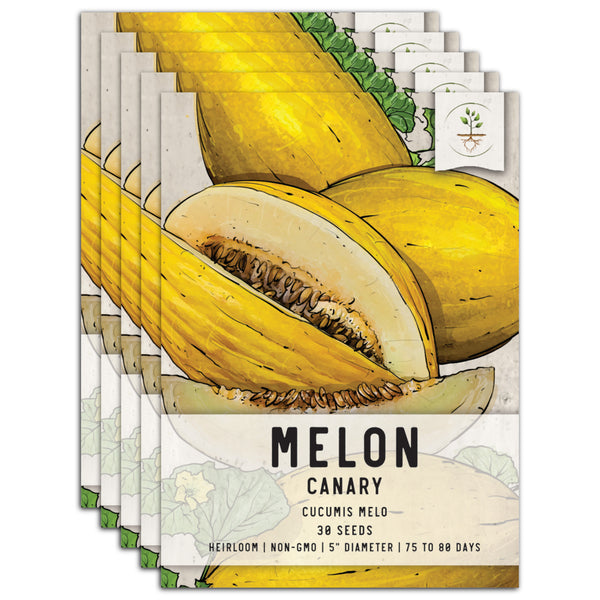 Canary Melon Seeds For Planting (Cucumis melo)