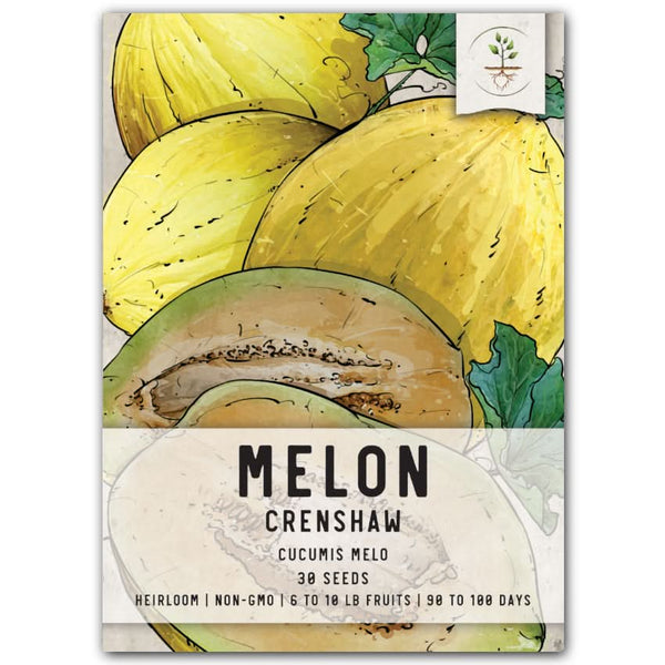 Crenshaw Melon Seeds For Planting (Cucumis melo)