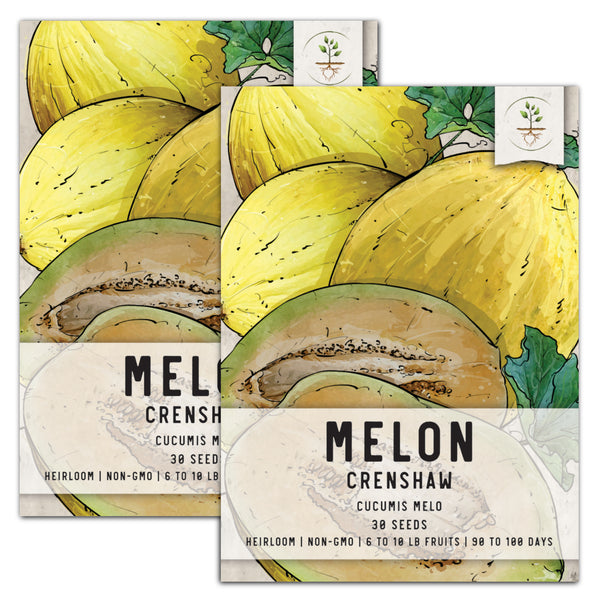 Crenshaw Melon Seeds For Planting (Cucumis melo)