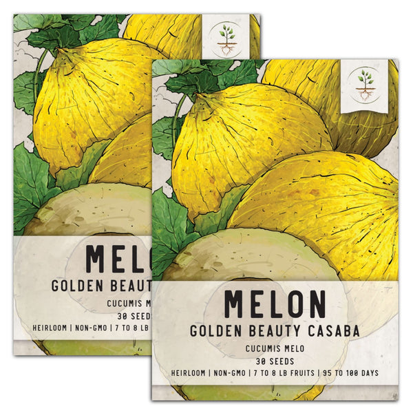 Golden Beauty Casaba Melon Seeds For Planting (Cucumis melo)