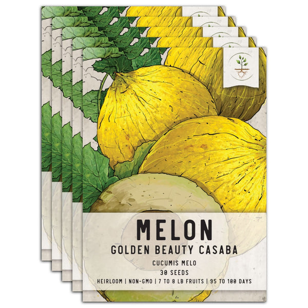 Golden Beauty Casaba Melon Seeds For Planting (Cucumis melo)