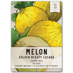 Golden Beauty Casaba Melon Seeds For Planting (Cucumis melo)