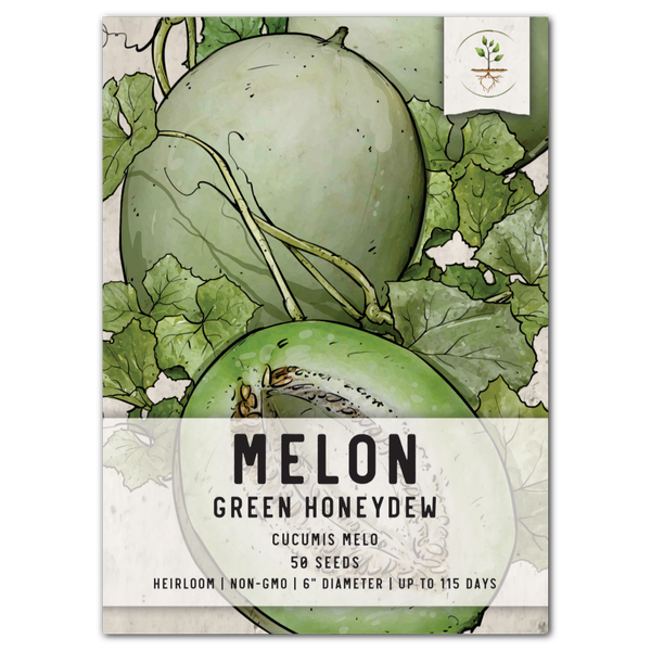 Green Honeydew Melon Seeds For Planting (Cucumis melo)