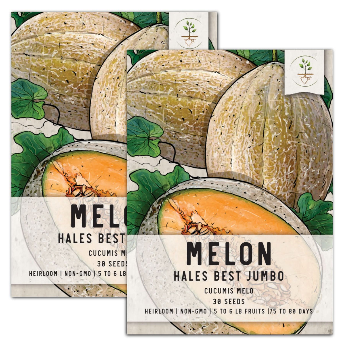 Hales Best Jumbo Melon Seeds For Planting (Cucumis melo) Seed Needs LLC