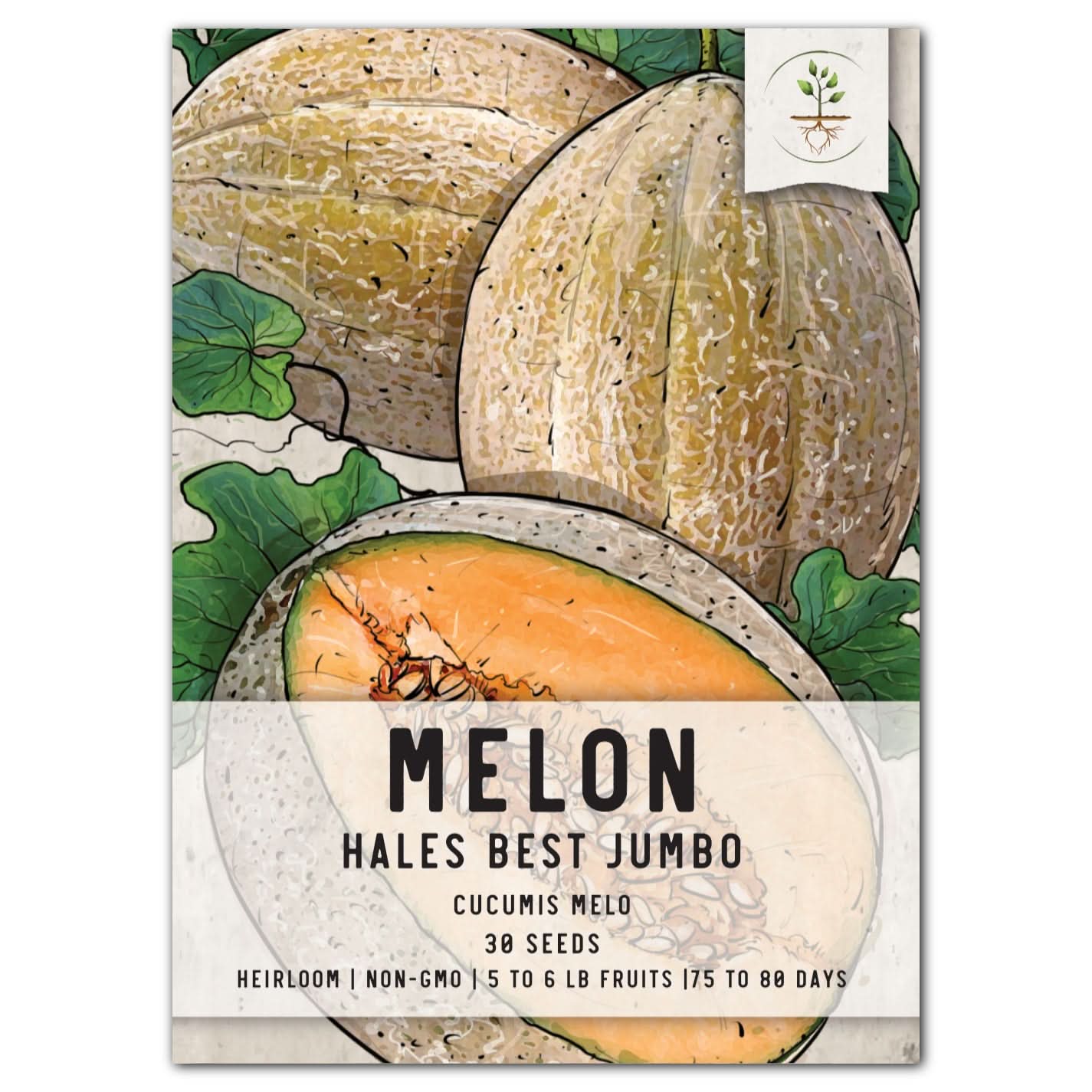 Hales Best Jumbo Melon Seeds For Planting (Cucumis melo) Seed Needs LLC