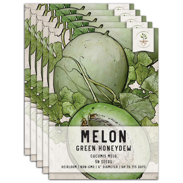 Green Honeydew Melon Seeds For Planting (Cucumis melo)