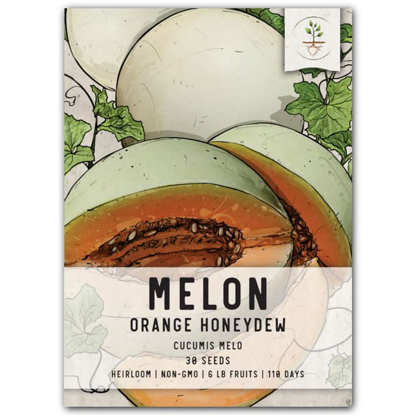 Orange Honeydew Melon Seeds For Planting (Cucumis melo)