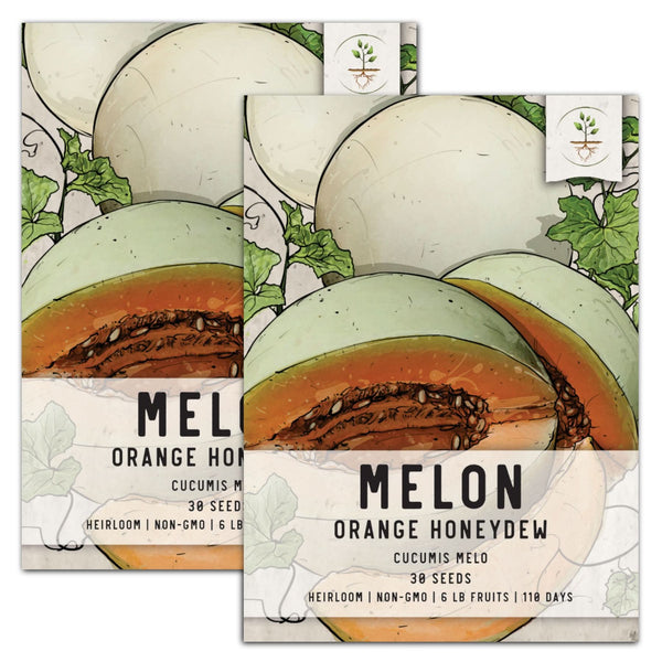 Orange Honeydew Melon Seeds For Planting (Cucumis melo)