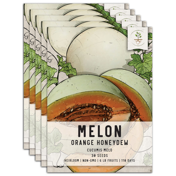 Orange Honeydew Melon Seeds For Planting (Cucumis melo)