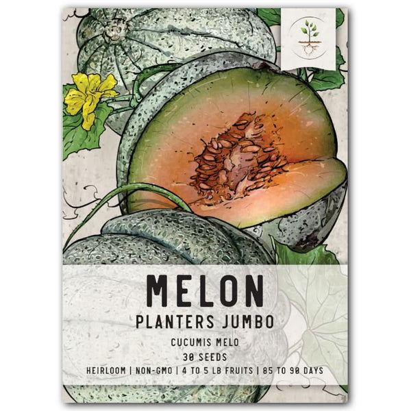 Planters Jumbo Melon Seeds For Planting (Cucumis melo)