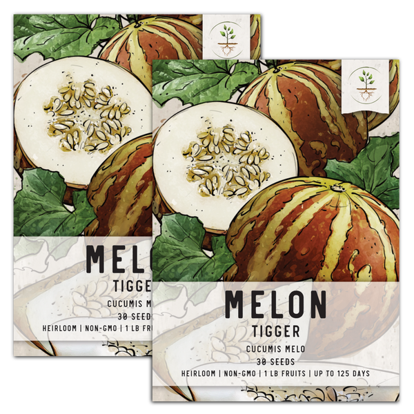 Tigger Melon Seeds For Planting (Cucumis melo)