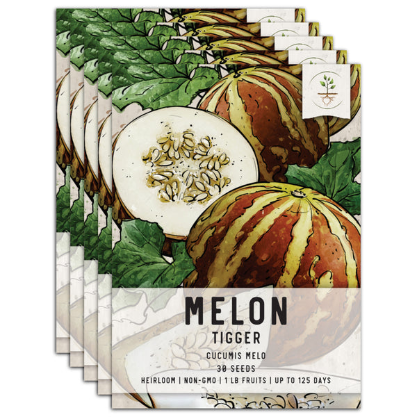 Tigger Melon Seeds For Planting (Cucumis melo)